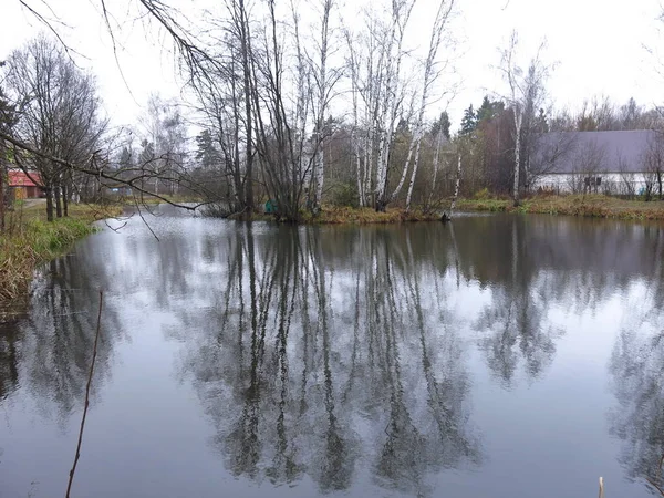 Берег Ставка Восени Відображенням Дерев Холодній Воді — стокове фото