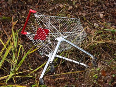 Sonbaharda terk edilmiş süpermarket arabası hendekte yatıyor.