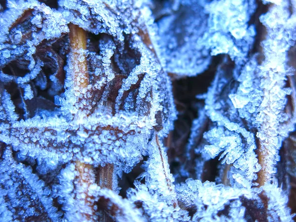 Παγετός Μοτίβα Στο Γρασίδι Κλείσει Φθινόπωρο — Φωτογραφία Αρχείου