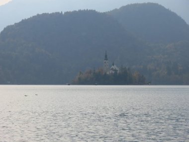 Slovenya 'da sonbaharda göl, sahil manzarası