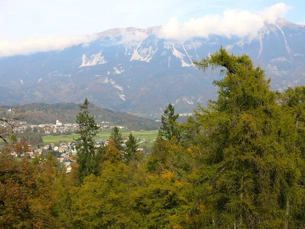 Pohled Zelené Panorama Slovinska — Stock fotografie