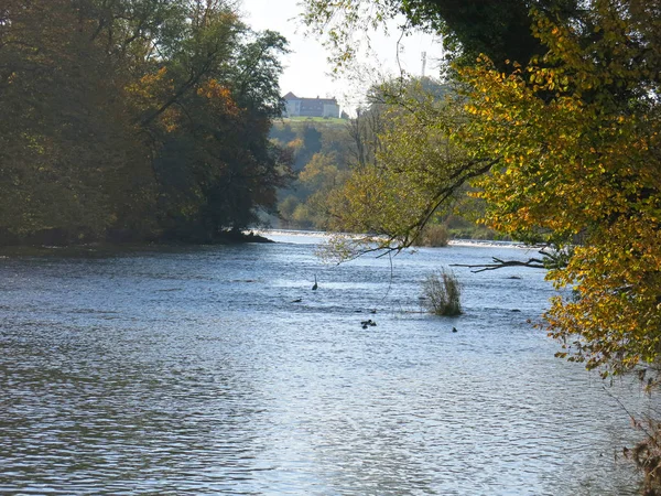 Rivière Automne Les Canards Nagent Loin — Photo