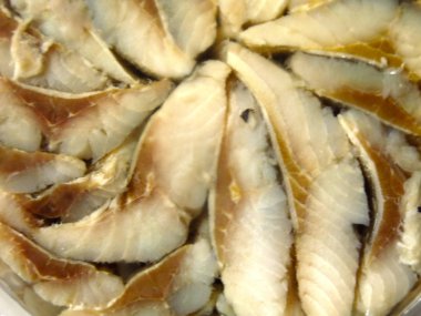 Ringa balıkları yuvarlak bir kavanozda.