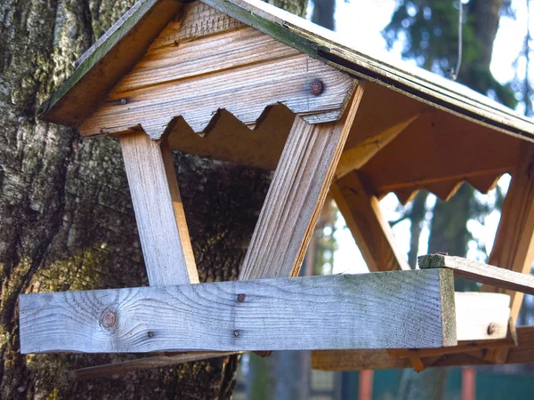 Wooden Bird Feeder Squirrels Tree — Stock Photo, Image