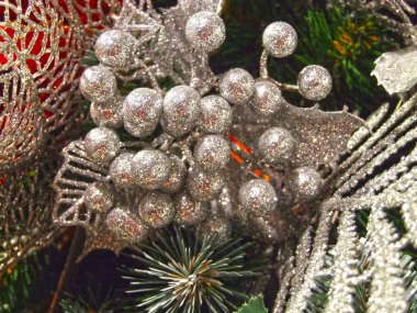 Christmas tree decoration: silvery small Holly berries on coniferous branches