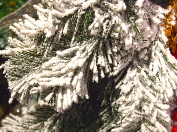 Dekoracja Choinki Pokryte Śniegiem Gałązki Świerku Wnętrzu — Zdjęcie stockowe