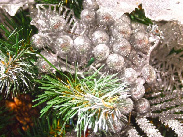 圣诞树装饰 针叶树枝上银白色的小冬青浆果 — 图库照片