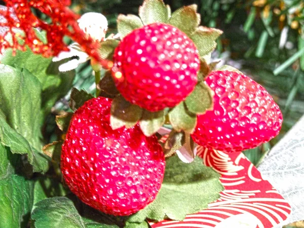 Christmas Tree Decoration Artificial Red Raspberry Berries — Stock Photo, Image