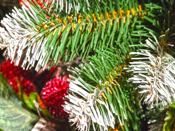 圣诞树装饰 室内度假 室内白雪覆盖的针叶树枝头 — 图库照片