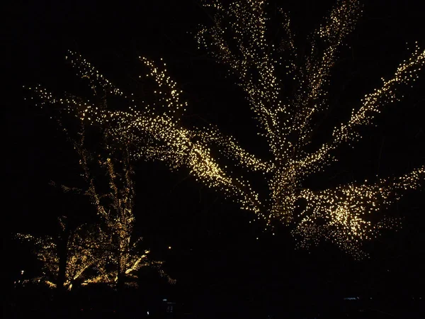 Illumination Noël Des Arbres Rue Dans Ville — Photo