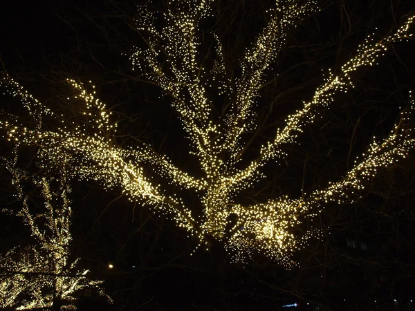 Iluminação Natal Árvores Rua Cidade — Fotografia de Stock