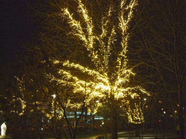 Julbelysning Gatuträd Staden — Stockfoto