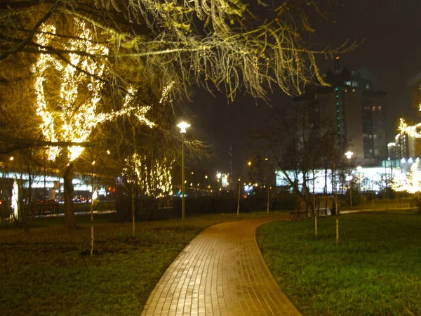 城市街道树木的圣诞照明 — 图库照片