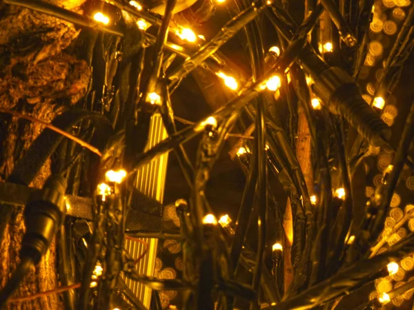 Kerstverlichting Van Straatbomen Stad — Stockfoto