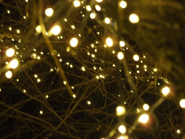 Iluminação Natal Árvores Rua Cidade — Fotografia de Stock