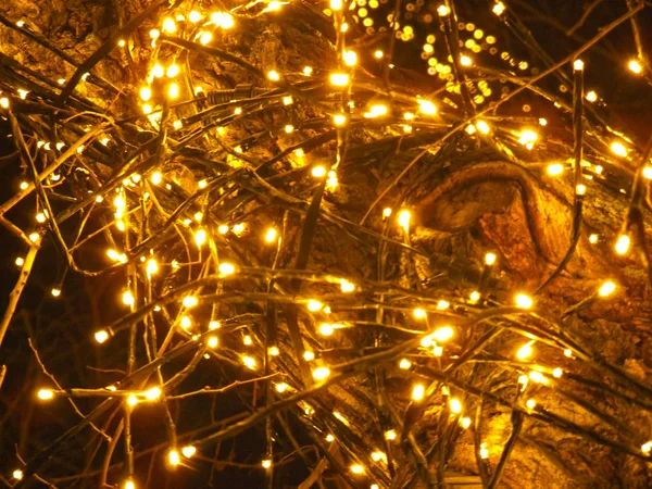 Χριστουγεννιάτικος Φωτισμός Των Δέντρων Του Δρόμου Στην Πόλη — Φωτογραφία Αρχείου