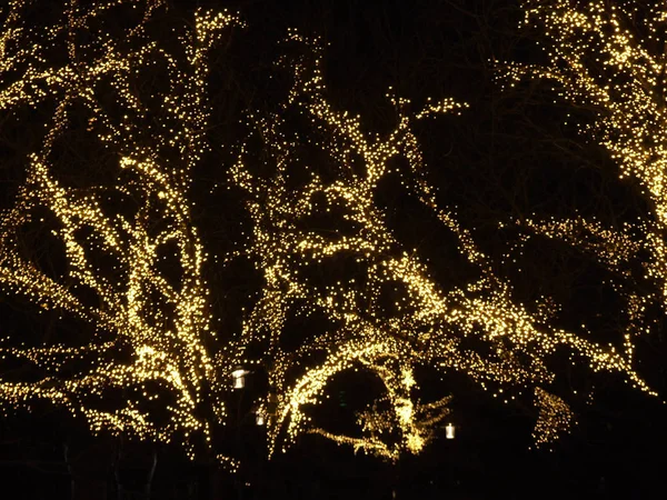 Kerstverlichting Van Straatbomen Stad — Stockfoto