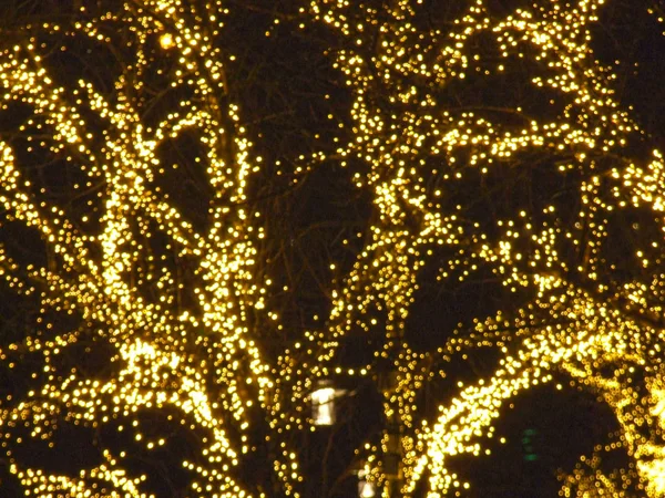 城市街道树木的圣诞照明 — 图库照片