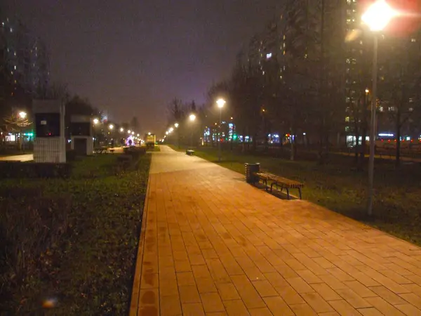 Panorama Véspera Ano Novo Boulevard Noite Com Caminho Pedestre Lanternas — Fotografia de Stock