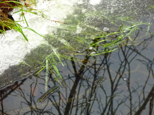 水のある溝の秋の木の反射 — ストック写真