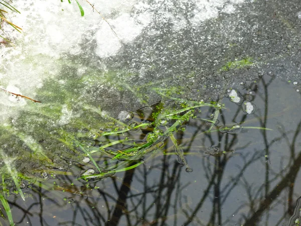 水のある溝の秋の木の反射 — ストック写真