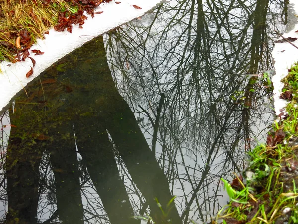 水のある溝の秋の木の反射 — ストック写真