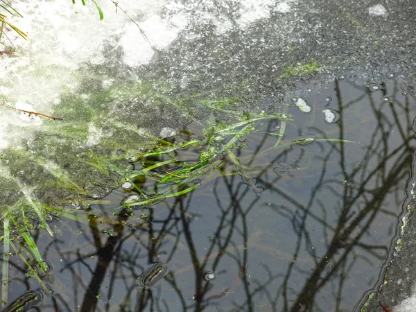 水のある溝の秋の木の反射 — ストック写真