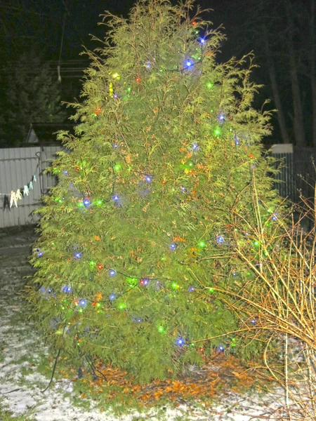dressed up Christmas tree on the street with a colorful garland