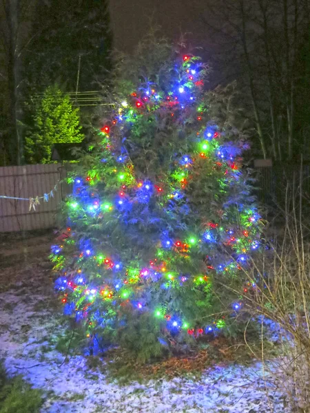 Στολισμένο Χριστουγεννιάτικο Δέντρο Στο Δρόμο Ένα Πολύχρωμο Γιρλάντα — Φωτογραφία Αρχείου