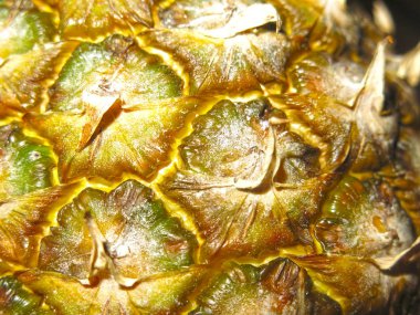 Ananasın derisindeki terazinin dokusu