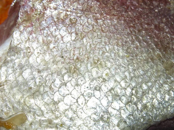 Schuppen Von Rotem Fisch Forelle Oder Rosa Lachs Salz Vor — Stockfoto