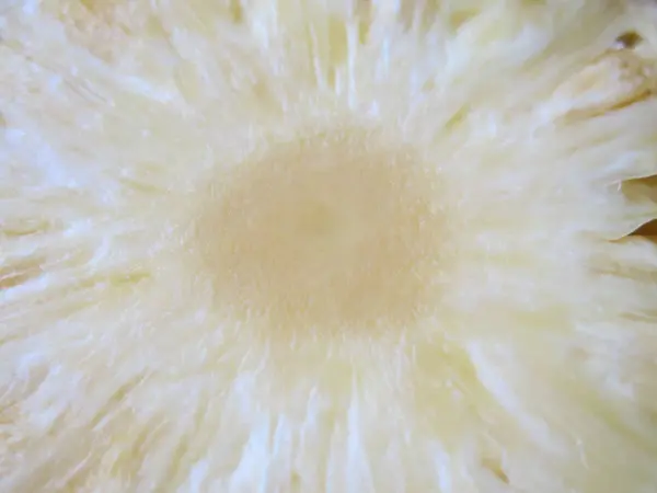 パイナップルフルーツの黄色の丸いスライス — ストック写真