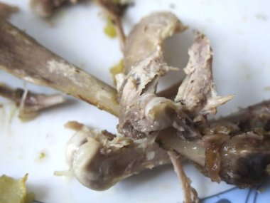 Tatilden sonra tabakta ördek kemiği kızart.