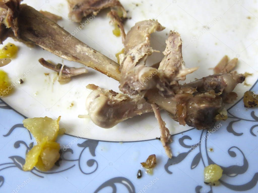 roast duck bones on a plate after a holiday