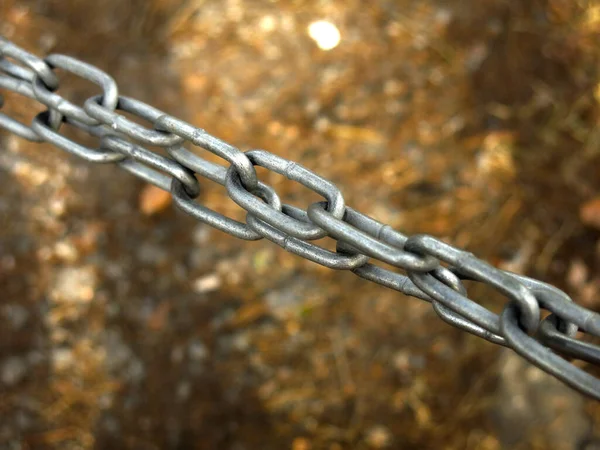 Steel Grey Chain Links Autumn — Stockfoto