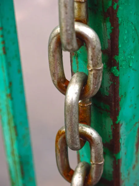 Rusty Gray Steel Chain Hangs Green Gate — Stock Photo, Image