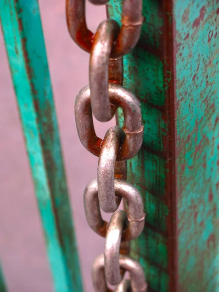 Rusty Gray Steel Chain Hangs Green Gate — Stock Photo, Image