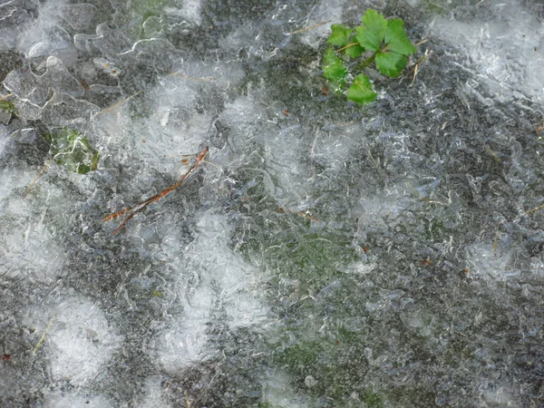 Тонкий Прозрачный Лед Канаве — стоковое фото