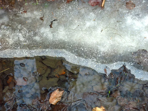 溝内の薄い半透明の氷は — ストック写真