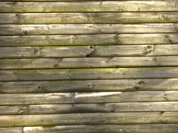 Texture Horizontal Wooden Planks Burnt Rotten Shadow Trees — Stock Photo, Image