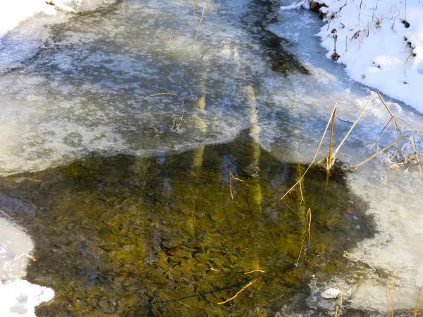 晴れた日の春にパイプから流れる水の中の木の反射 — ストック写真