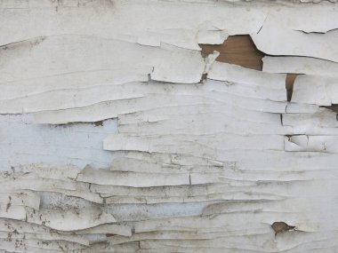 Eski ahşap bir kapının üzerindeki beyaz boyayı soyuyordu.