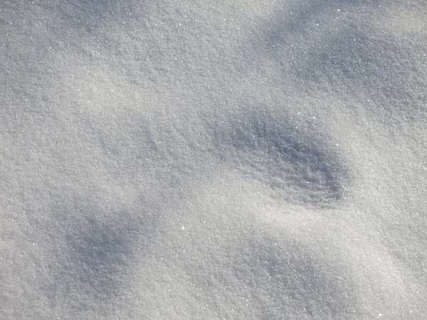 Сніг Сріблясті Дні Під Сонячними Променями — стокове фото