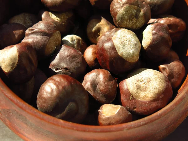 Bagas Castanhas Estão Uma Tigela Madeira — Fotografia de Stock