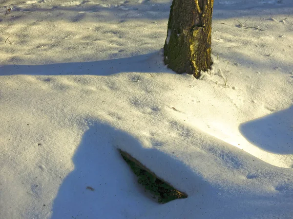 村の冬の雪に覆われた木の橋 — ストック写真