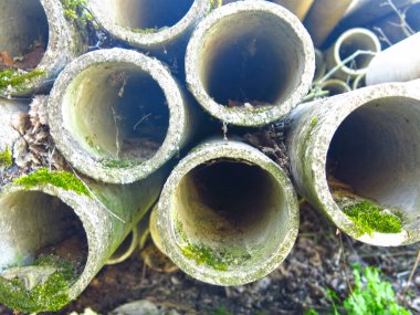 yuvarlak beton borular yosun ile kaplıdır ve bir yığın içinde yatar.