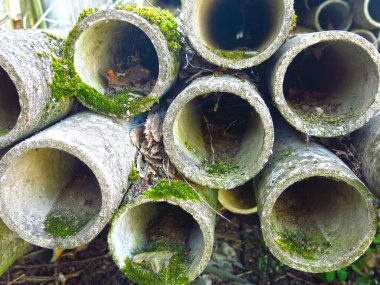 yuvarlak beton borular yosun ile kaplıdır ve bir yığın içinde yatar.
