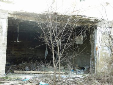 Devasa, terk edilmiş bir malikane yıkılıyor: çürüyen, çatıda yosun, alçı çökmüş, oluklar düşmüş, veranda kırılmış, her yer çimlerle kaplanmış.