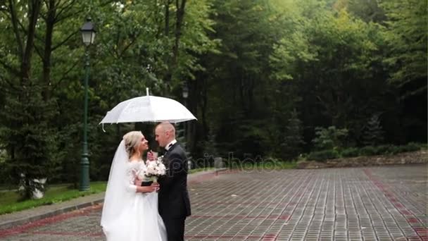 Novia y novio sosteniendo paraguas — Vídeo de stock