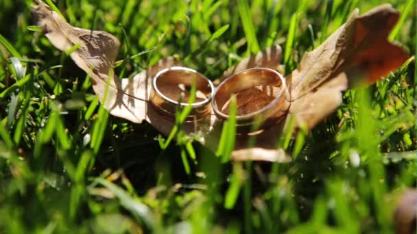 Dos anillos de bodas de oro sentados en la hierba verde sobre brillo amarillo y caen a lo largo de dos bellotas — Vídeo de stock